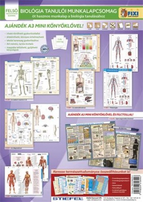 Učebná pomôcka, 5 pracovných listov, 1 podložka, fixka, STIEFEL "Biológia", výrobok v MJ